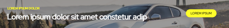 Display ad for car renting companies